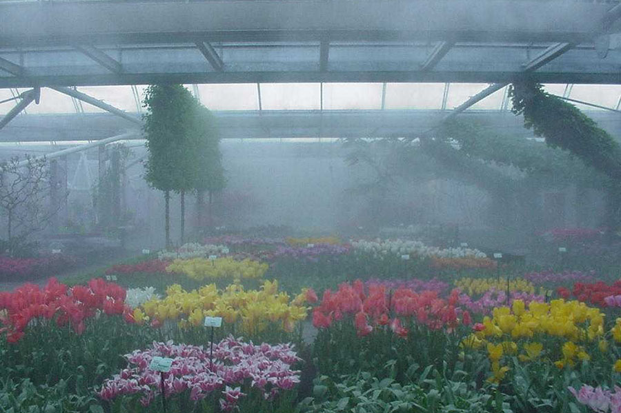 Організація туманної системи поливу в саду