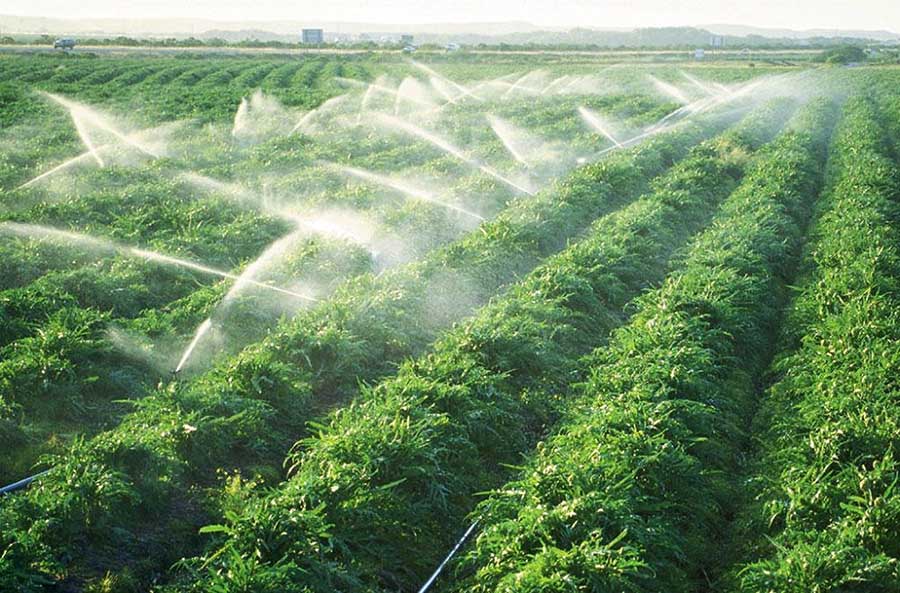 Полив городу туманом