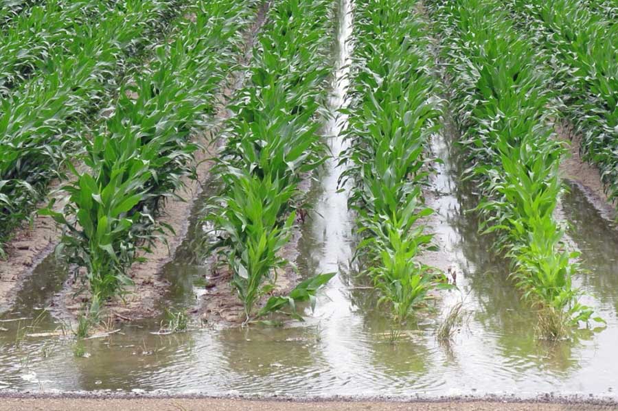 Самопливна система поливу своїми руками