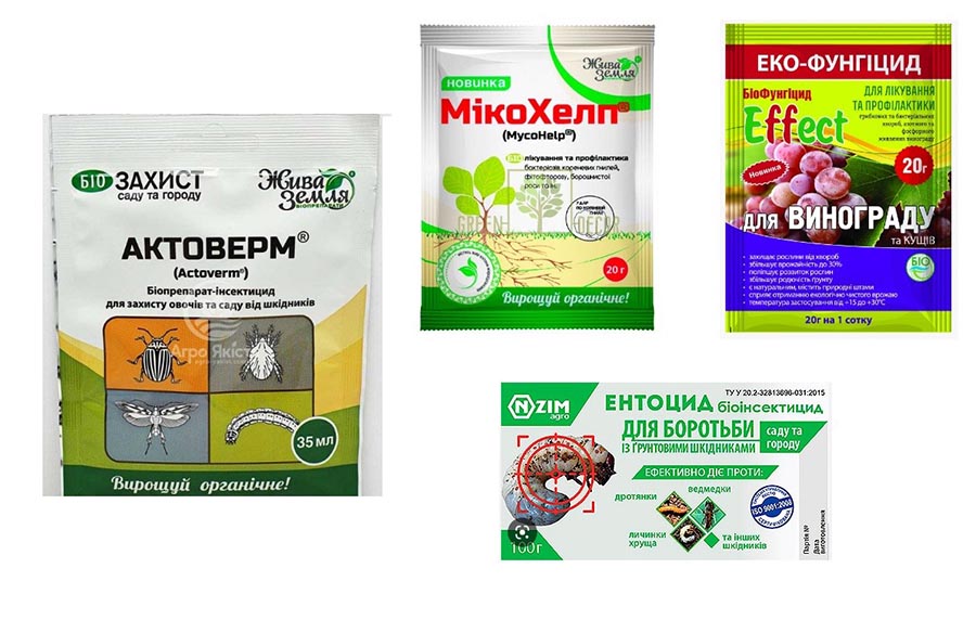 Які біофунгіциди підходять для обробки винограду навесні