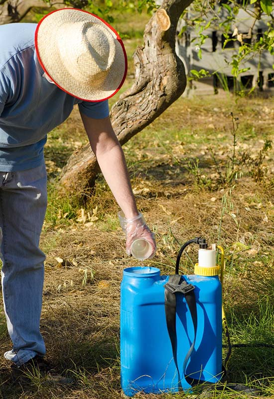 Методи правильної весняної обробки лози