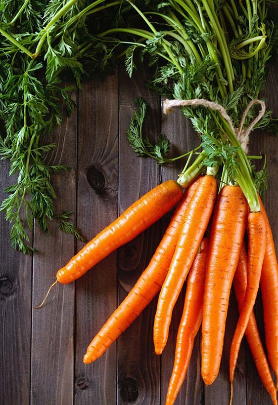 Які сорти моркви можна садити в липні