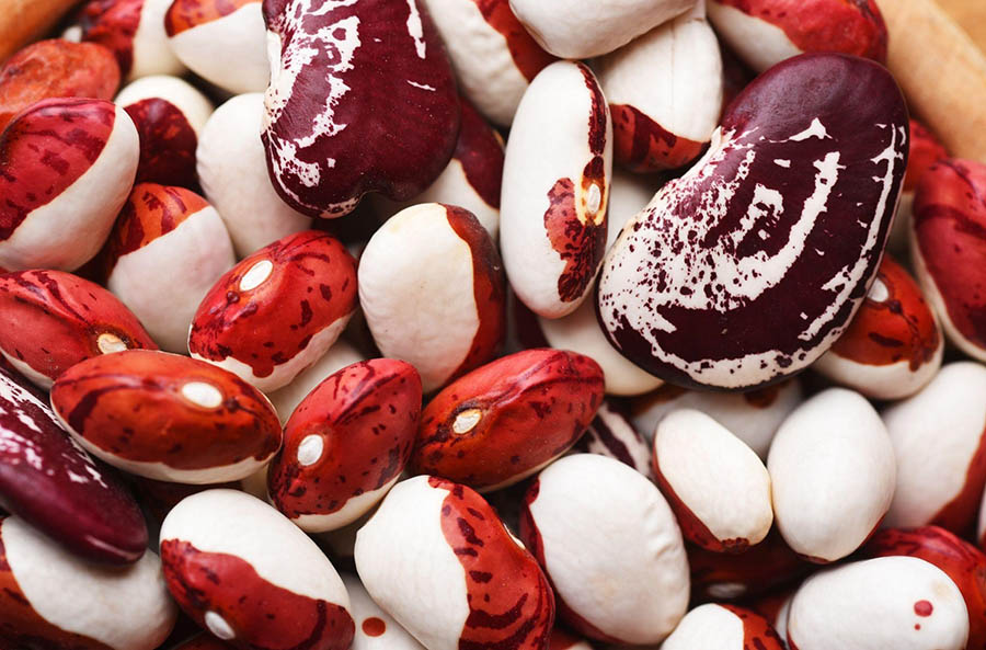 Какие бобовые подходят для летней посадки