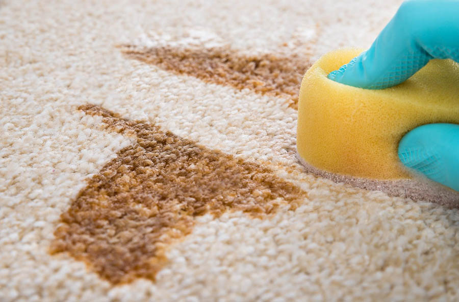 Методи догляду за килимом на кухні