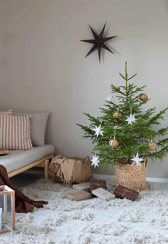 Невысокая живая елка с новогодними украшениями