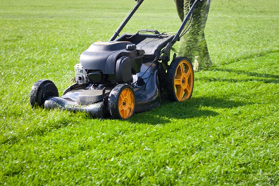 ТОП-10 найкращих електричних газонокосарок 2025 року