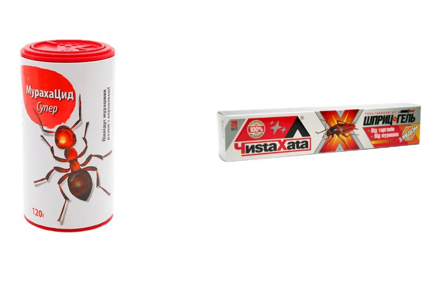 Професійні засоби від мурах в будинку