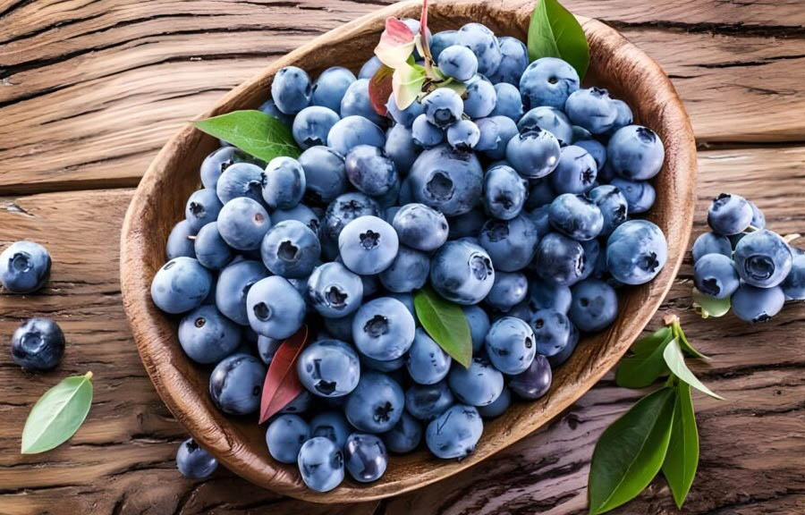 Чим підживити лохину навесні для багатого врожаю?