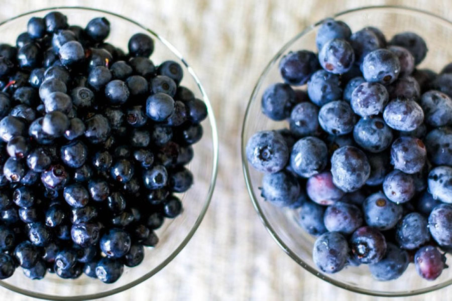 Лохина і чорниця: в чому різниця між ними?