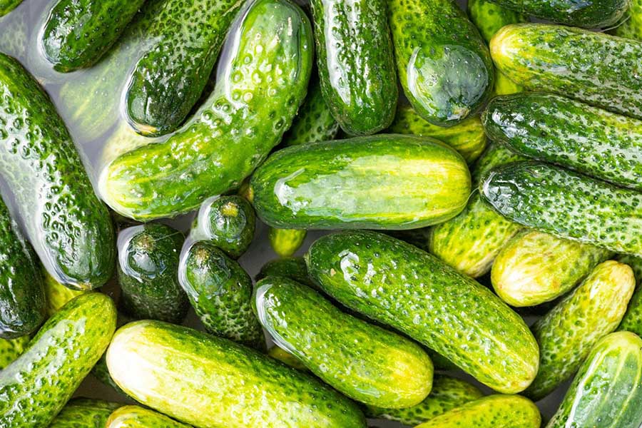 Коли і як підживлювати огірки